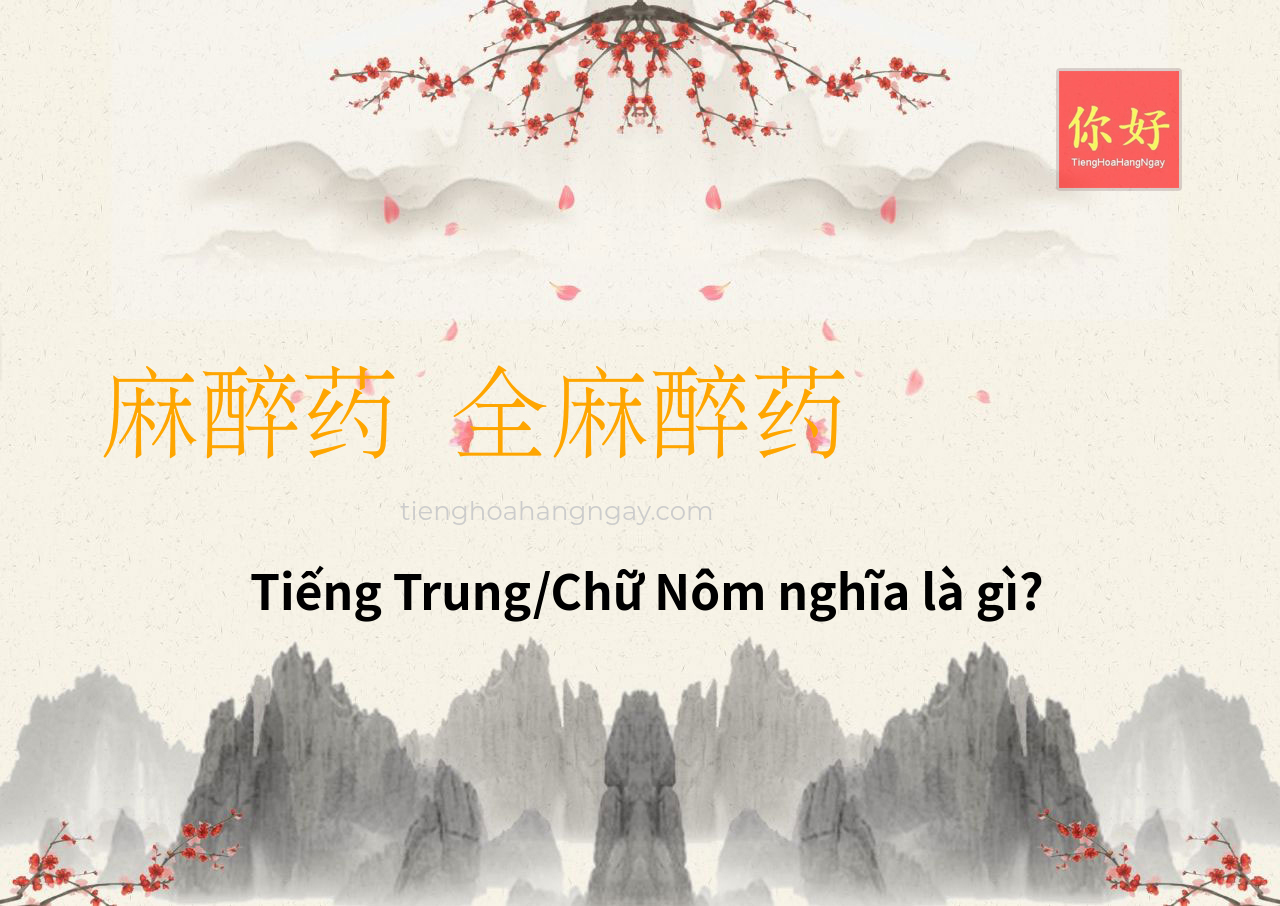 麻醉药 全麻醉药 tiếng Trung là gì?